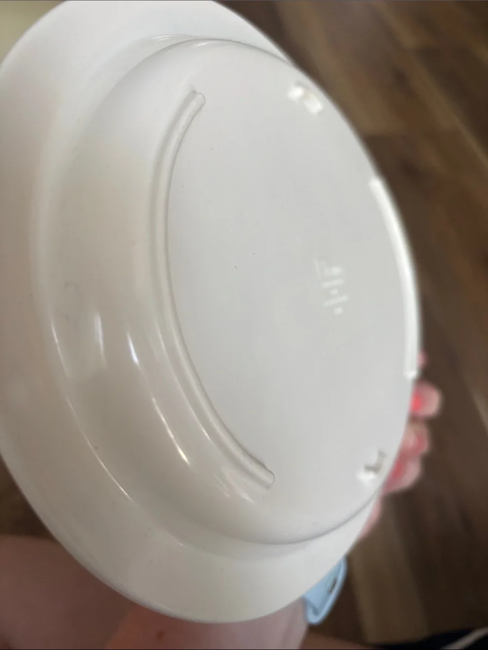 Disney oval plate